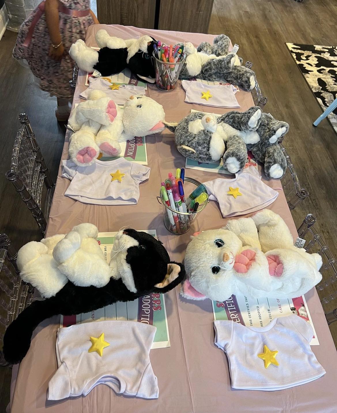 Stuffed Animal Party