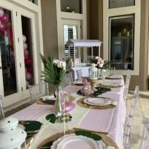 Adult Ghost Chairs & Table Rentals